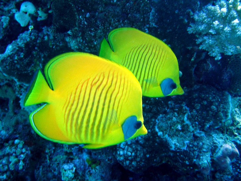 13-03-13 022 Mary.jpg